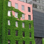 green architecture, architecture picture, free stock photo, royalty-free image