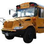 school bus, bus picture, free stock photo, royalty-free image