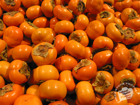 persimmon, fuyu persimmon, persimmon photo, picture of persimmons, fruit photo, free images, stock photos, stock images, royalty-free image