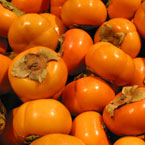 persimmon, fuyu persimmon, fruits, fresh fruit photo, free stock photo, royalty-free image