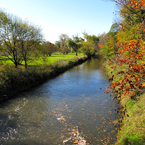 creek, bare trees, fall season foliage, picture, free stock photo, royalty-free image