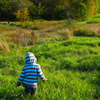 boy walking in meadow, grassy, fall season foliage picture, free stock photo, royalty-free image