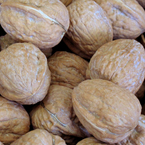 walnuts, walnut picture, free stock photo, royalty-free image