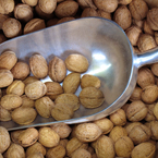 nut, nuts, walnuts, walnut photo, nuts picture, free photo, free download, stock photos, royalty-free image