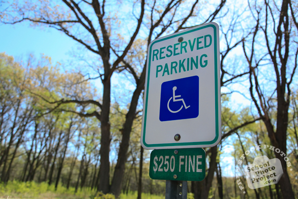 reserved parking, disabled parking space, handicap parking sign, $250 fine, daily objects, free stock photo, picture, free images download, stock photography, royalty-free image